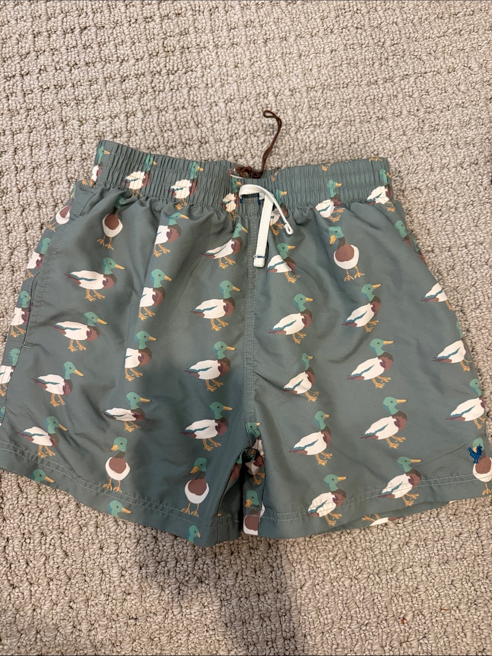 Blue Rooster Mallard Duck Print Swim Trunks - Green